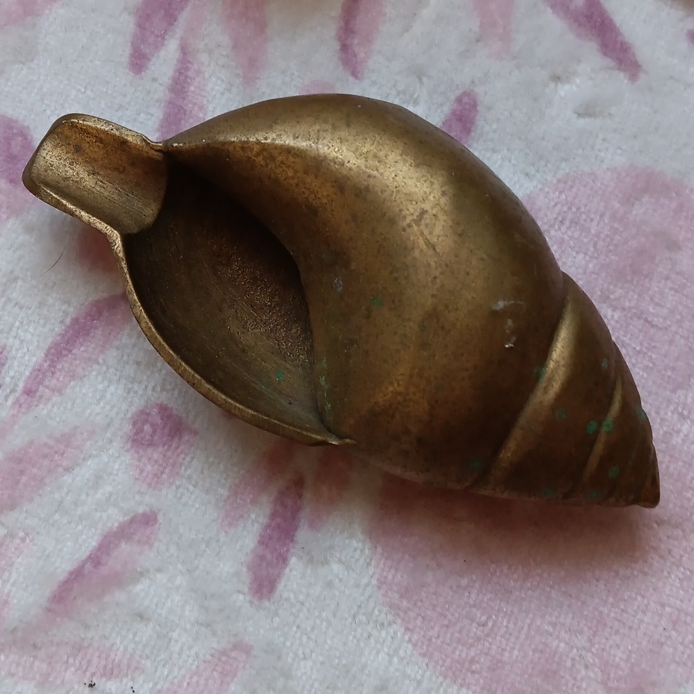 Nautical Sea Shell - Picture 4 of 4
